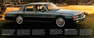 1983 Pontiac Parisienne-02-03.jpg